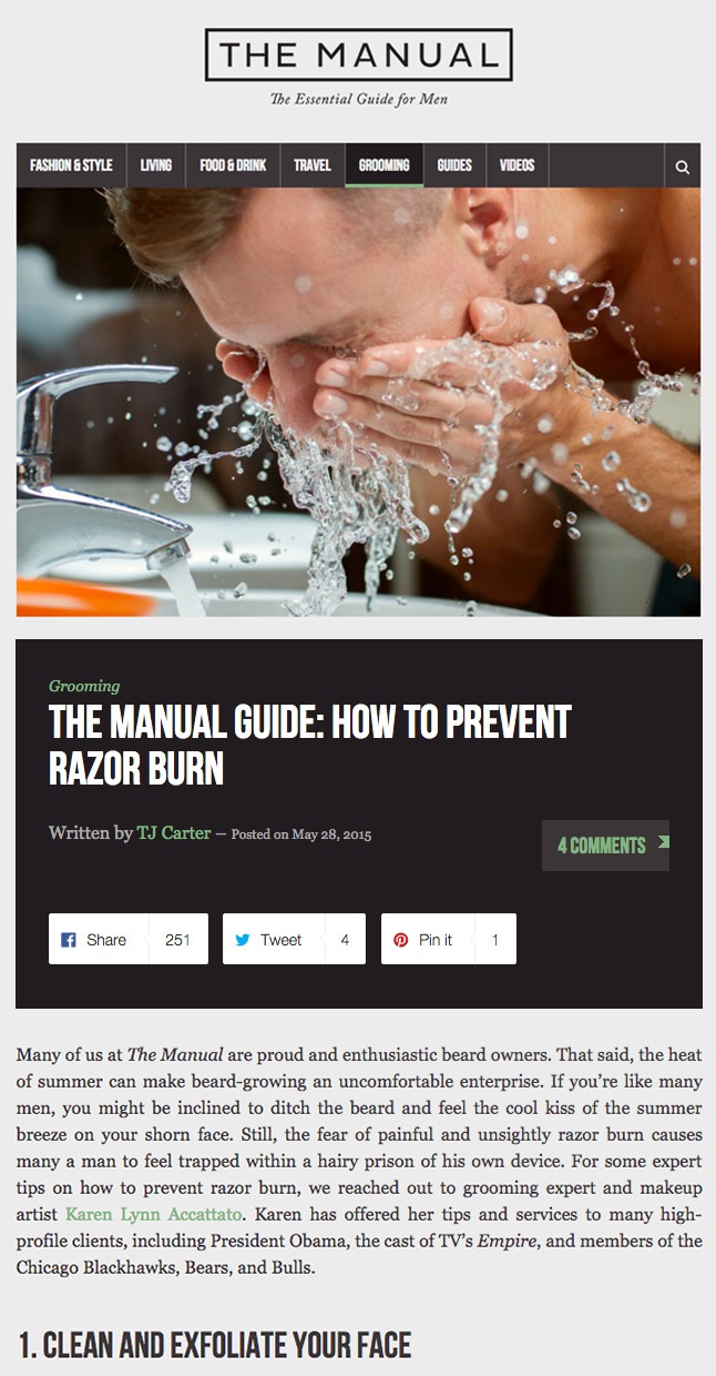 manual-article-snippet